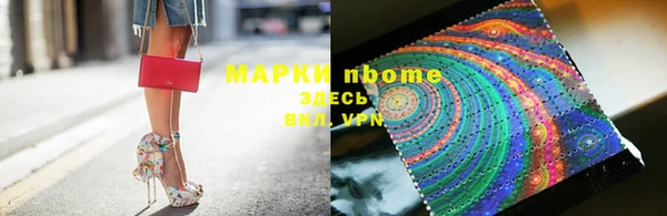 сатива Верея