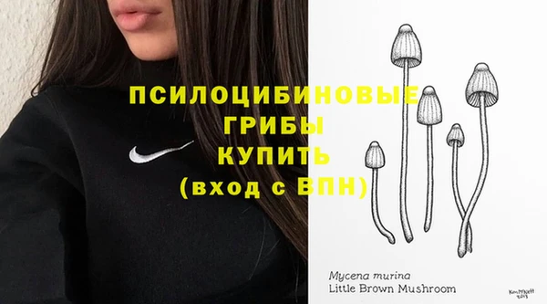 прущие грибы Верхнеуральск