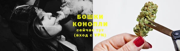 прущие грибы Верхнеуральск