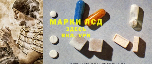 сатива Верея