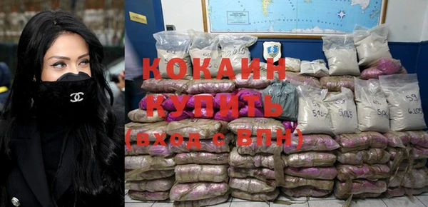 сатива Верея