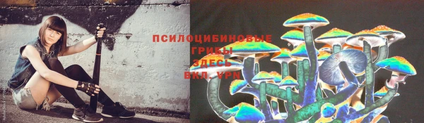 сатива Верея