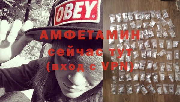 сатива Верея