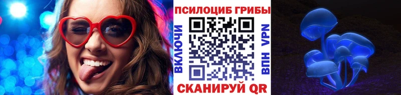Псилоцибиновые грибы GOLDEN TEACHER kraken ONION Мончегорск цена наркотик